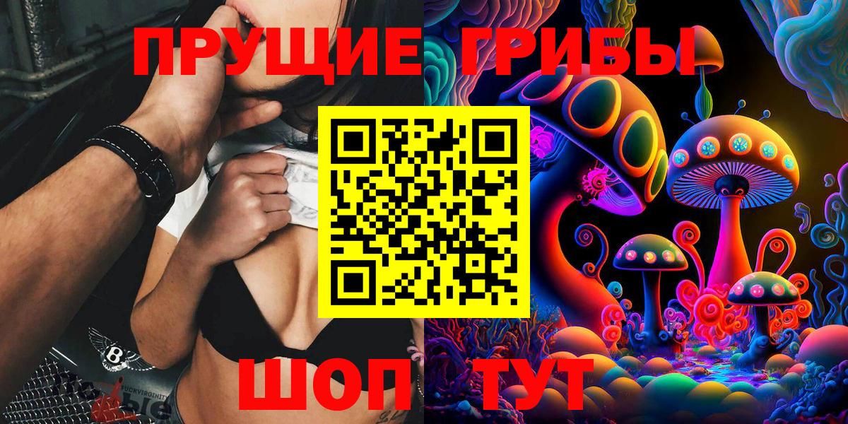Псилоцибиновые грибы Psilocybine cubensis Котельники
