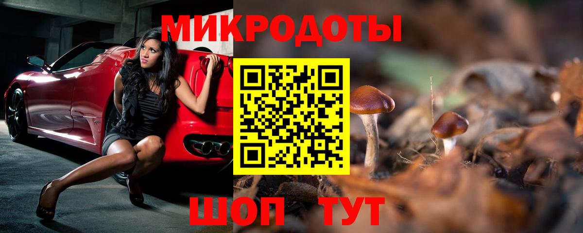 Псилоцибиновые грибы GOLDEN TEACHER  Вход с VPN  Псилоцибиновые грибы Psilocybe  Котельники 
