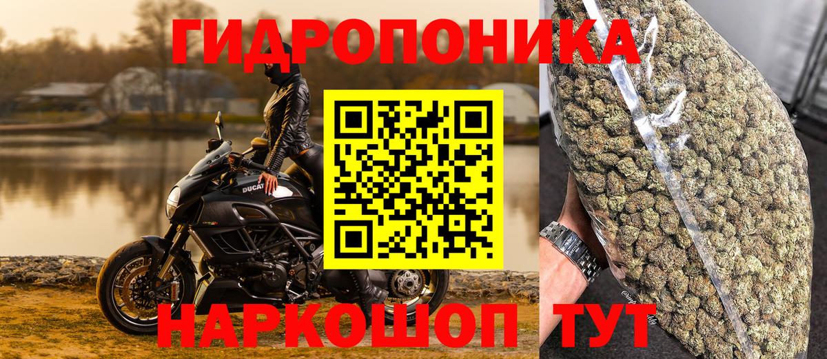 Каннабис VHQ  Вход с VPN  Бошки Шишки план  Котельники  Бошки Шишки Amnesia 